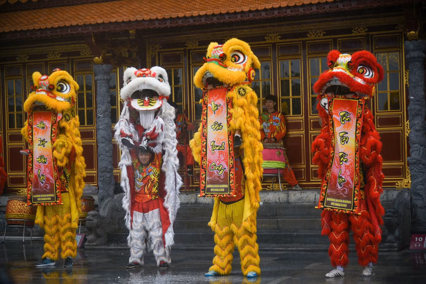 Những màn múa lân sư rồng đặc sắc diễn ra bên trong Đại nội.