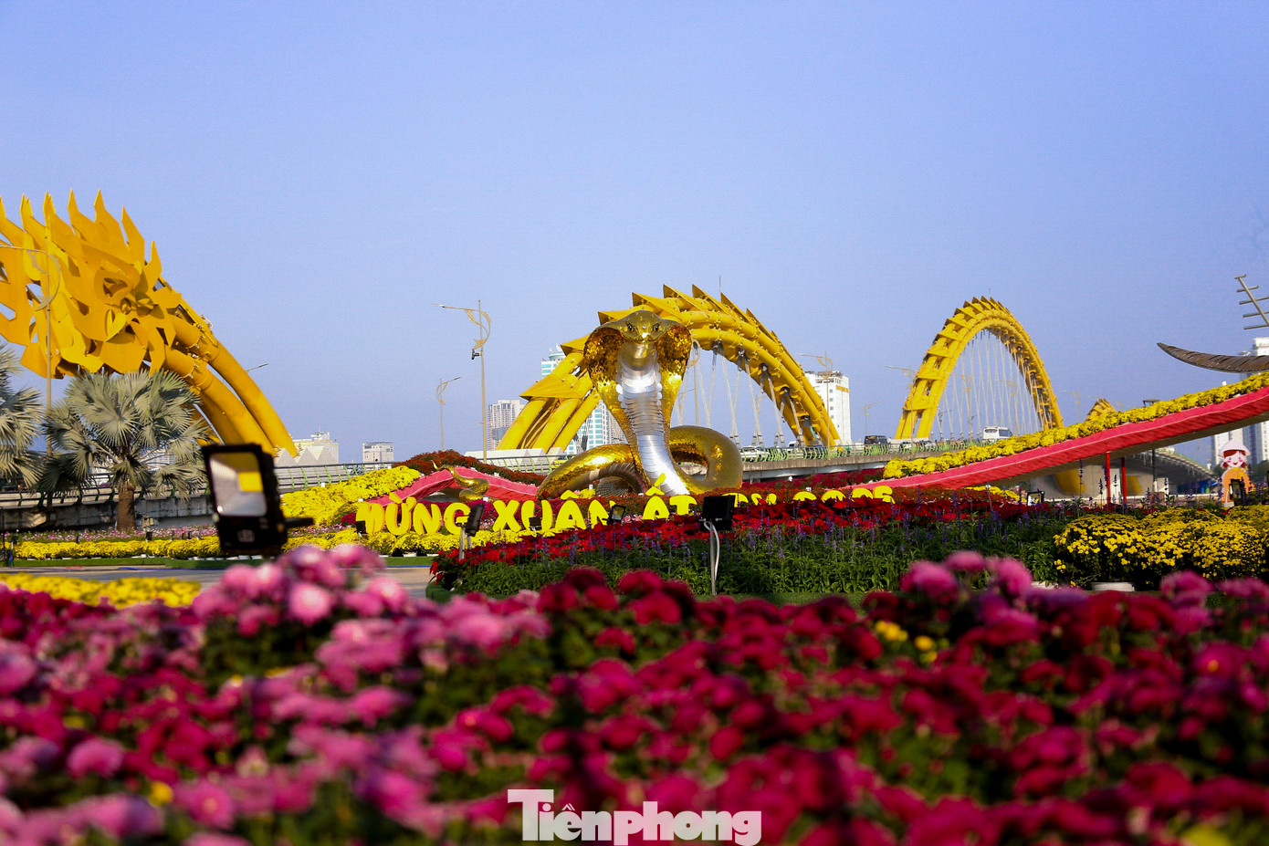 Những ngày qua, dọc tuyến đường hoa Tết bên bờ sông Hàn (thành phố Đà Nẵng) dù chưa chính thức khai mạc nhưng đã có rất đông người đến tham quan, chụp hình. Từng nhóm bạn trẻ diện áo dài, trang phục rực rỡ tạo dáng trước các tiểu cảnh để ghi lại những khoảnh khắc đẹp tại đây. Tuyến đường hoa Tết năm nay được trang trí công phu, rực rỡ màu sắc với nhiều chủ đề phong phú. Đặc biệt, đường hoa năm nay nổi bật với linh vật rắn thu hút nhiều người dân. Những ngày qua, dọc tuyến đường hoa Tết bên bờ sông Hàn (thành phố Đà Nẵng) dù chưa chính thức khai mạc nhưng đã có rất đông người đến tham quan, chụp hình. Từng nhóm bạn trẻ diện áo dài, trang phục rực rỡ tạo dáng trước các tiểu cảnh để ghi lại những khoảnh khắc đẹp tại đây. Tuyến đường hoa Tết năm nay được trang trí công phu, rực rỡ màu sắc với nhiều chủ đề phong phú. Đặc biệt, đường hoa năm nay nổi bật với linh vật rắn thu hút nhiều người dân.