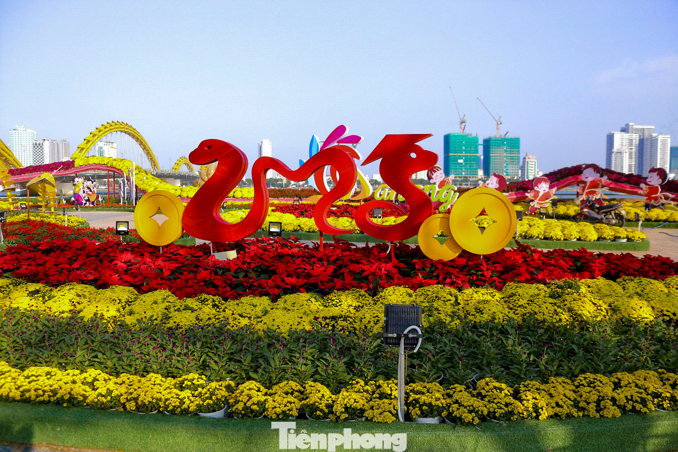 Những ngày qua, dọc tuyến đường hoa Tết bên bờ sông Hàn (thành phố Đà Nẵng) dù chưa chính thức khai mạc nhưng đã có rất đông người đến tham quan, chụp hình. Từng nhóm bạn trẻ diện áo dài, trang phục rực rỡ tạo dáng trước các tiểu cảnh để ghi lại những khoảnh khắc đẹp tại đây. Tuyến đường hoa Tết năm nay được trang trí công phu, rực rỡ màu sắc với nhiều chủ đề phong phú. Đặc biệt, đường hoa năm nay nổi bật với linh vật rắn thu hút nhiều người dân. Những ngày qua, dọc tuyến đường hoa Tết bên bờ sông Hàn (thành phố Đà Nẵng) dù chưa chính thức khai mạc nhưng đã có rất đông người đến tham quan, chụp hình. Từng nhóm bạn trẻ diện áo dài, trang phục rực rỡ tạo dáng trước các tiểu cảnh để ghi lại những khoảnh khắc đẹp tại đây. Tuyến đường hoa Tết năm nay được trang trí công phu, rực rỡ màu sắc với nhiều chủ đề phong phú. Đặc biệt, đường hoa năm nay nổi bật với linh vật rắn thu hút nhiều người dân.