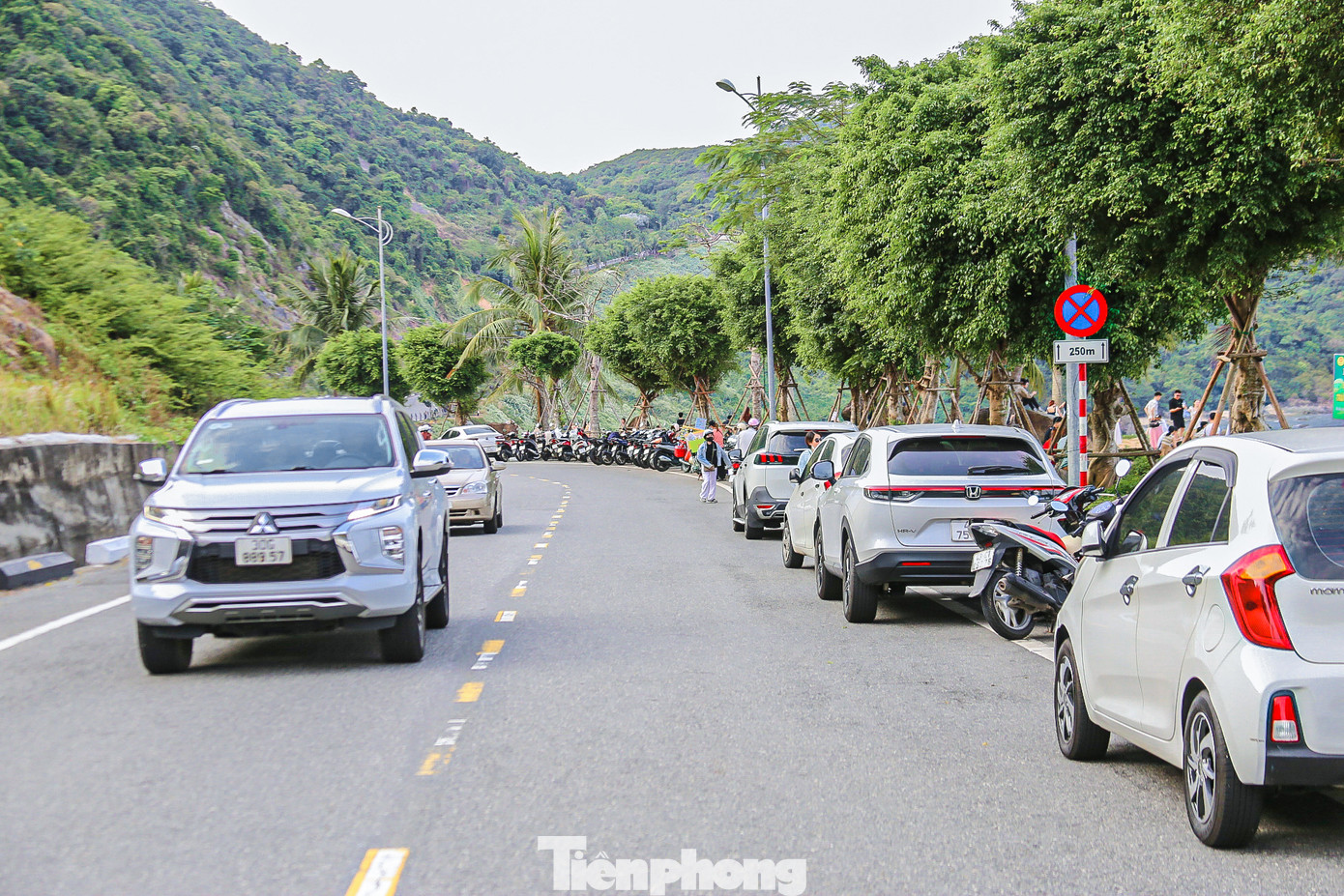 Càng về chiều lượng người càng đông khiến hai bên đường lên bán đảo Sơn Trà chật kín chỗ đậu xe.