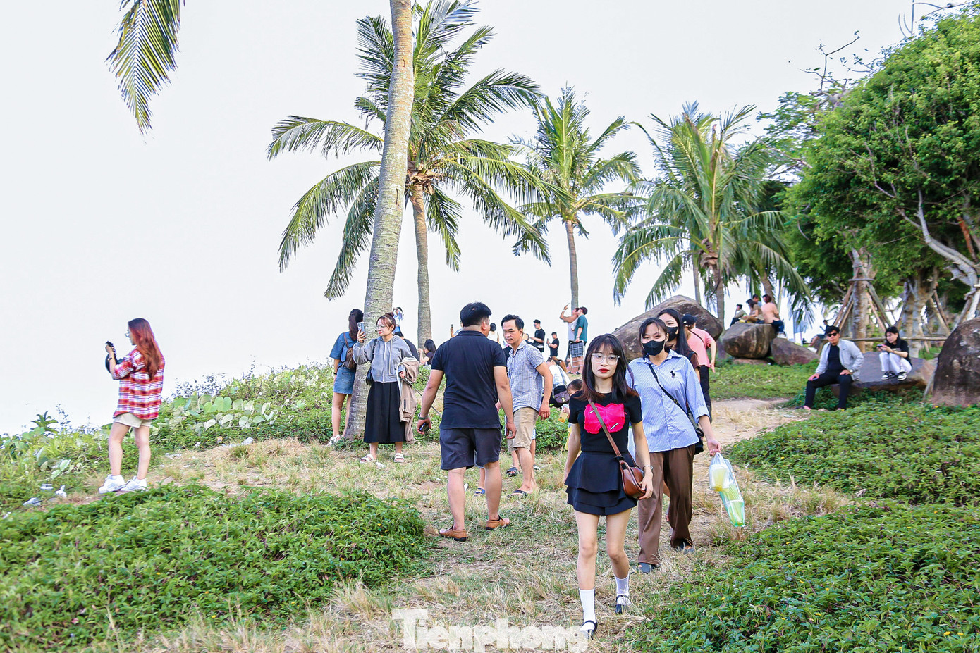 Để tránh nắng nóng gay gắt của mùa hè, hàng trăm người dân và du khách lên bán đảo Sơn Trà để tham quan, hóng mát.