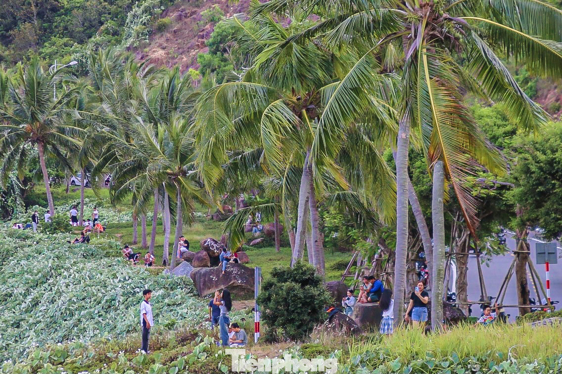 Bán đảo Sơn Trà (phường Thọ Quang, quận Sơn Trà) nằm cách trung tâm thành phố Đà Nẵng khoảng 10km về phía Đông Bắc, với cảnh quan thiên nhiên tươi đẹp, núi non hùng vĩ, có khu rừng bạt ngàn cùng hệ động thực vật phong phú…, được mệnh danh là viên ngọc quý của thành phố Đà Nẵng.