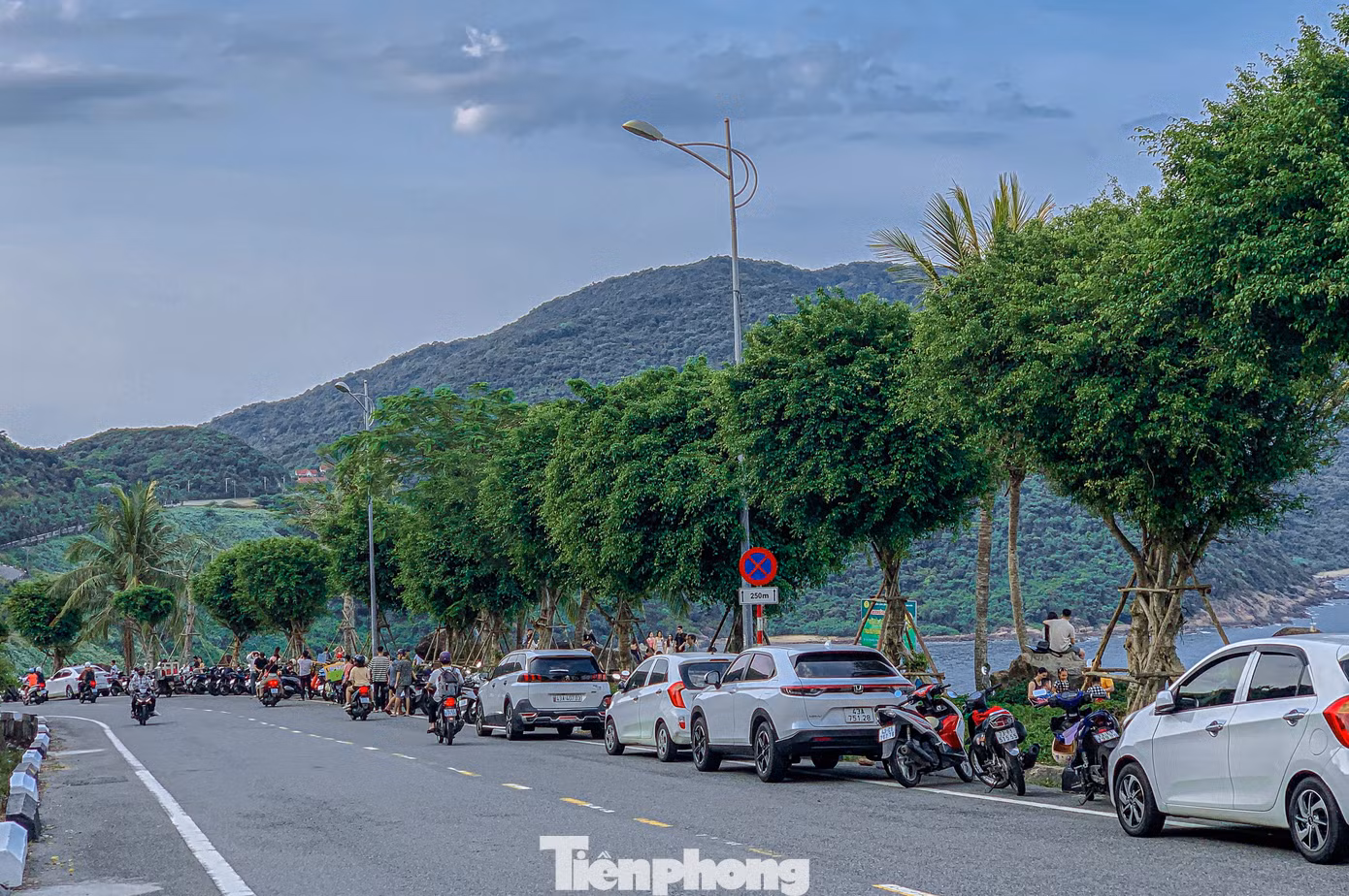 Lên bán đảo Sơn Trà có thể tận hưởng những làn gió mát trong lành từ biển thổi vào, xung quanh cây cối tỏa bóng mát rất thích hợp để người dân và du khách tránh nóng trong những ngày hè oi bức. Lên bán đảo Sơn Trà có thể tận hưởng những làn gió mát trong lành từ biển thổi vào, xung quanh cây cối tỏa bóng mát rất thích hợp để người dân và du khách tránh nóng trong những ngày hè oi bức.