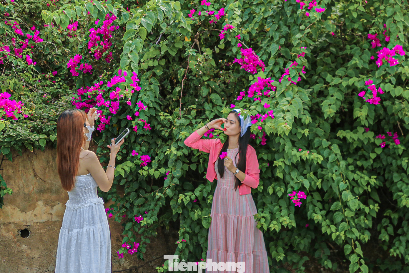 Nhiều bạn trẻ chọn bán đảo Sơn Trà là nơi hóng mát, check-in vào mỗi dịp cuối tuần.