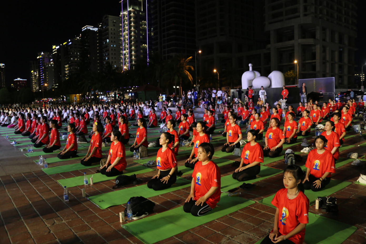 Buổi đồng diễn có sự tham dự của hơn 1.500 hội viên đến từ 45 trung tâm, Câu lạc bộ Yoga, những người yêu mến bộ môn Yoga cả nước.