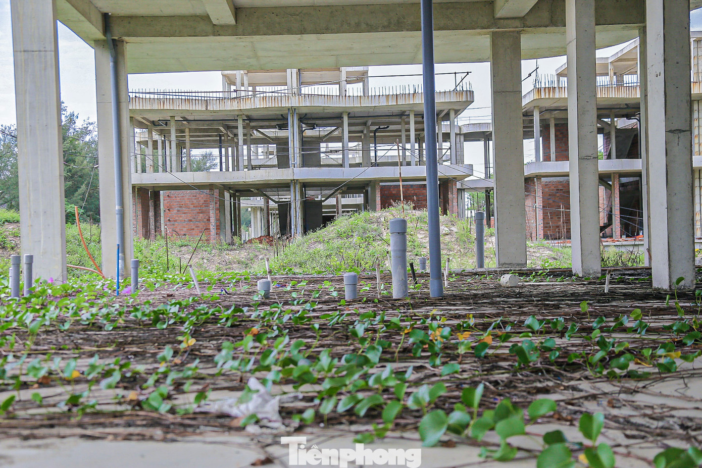 Theo ghi nhận của PV Tiền Phong, hiện dự án đang trong tình trạng bỏ hoang, cỏ cây mọc um tùm, nhiều hạng mục công trình xây xong phần thô rồi bỏ đó. Theo ghi nhận của PV Tiền Phong, hiện dự án đang trong tình trạng bỏ hoang, cỏ cây mọc um tùm, nhiều hạng mục công trình xây xong phần thô rồi bỏ đó.