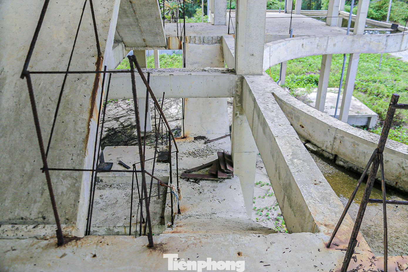Bên trong các biệt thự xây dang dở đọng nhiều ao nước tù, gạch mọc rêu, trụ sắt hoen gỉ. Bên trong các biệt thự xây dang dở đọng nhiều ao nước tù, gạch mọc rêu, trụ sắt hoen gỉ.