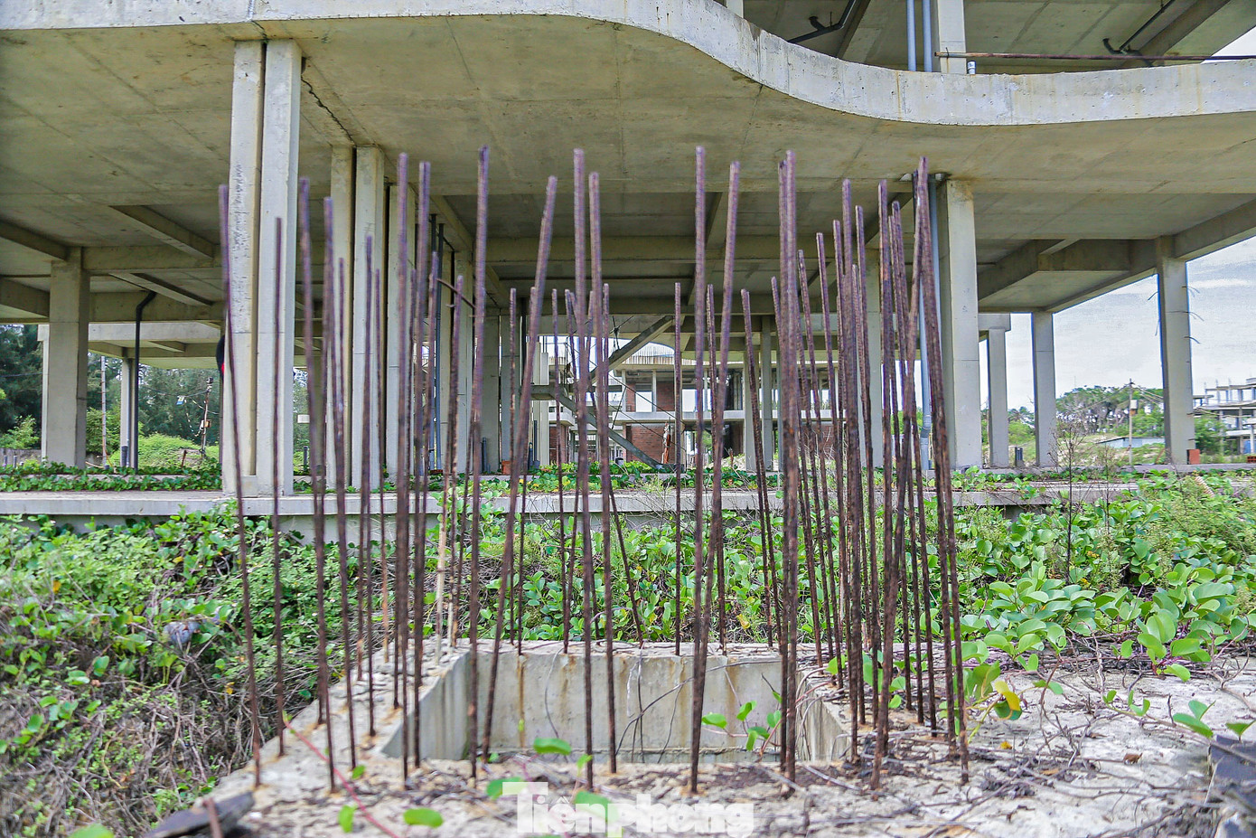 Bên trong các biệt thự xây dang dở đọng nhiều ao nước tù, gạch mọc rêu, trụ sắt hoen gỉ. Bên trong các biệt thự xây dang dở đọng nhiều ao nước tù, gạch mọc rêu, trụ sắt hoen gỉ.