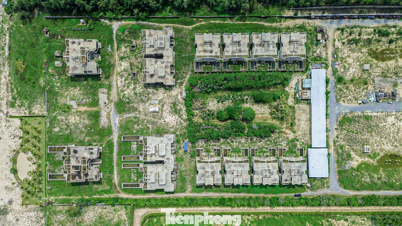 Dự án Aria Đà Nẵng có tổng mức đầu tư khoảng 756 tỉ đồng do Công ty CP Đầu tư Du lịch Hà Nội Non Nước làm chủ đầu tư, Tập đoàn Danh Khôi là đơn vị phát triển dự án. Dự án Aria Đà Nẵng có tổng mức đầu tư khoảng 756 tỉ đồng do Công ty CP Đầu tư Du lịch Hà Nội Non Nước làm chủ đầu tư, Tập đoàn Danh Khôi là đơn vị phát triển dự án.