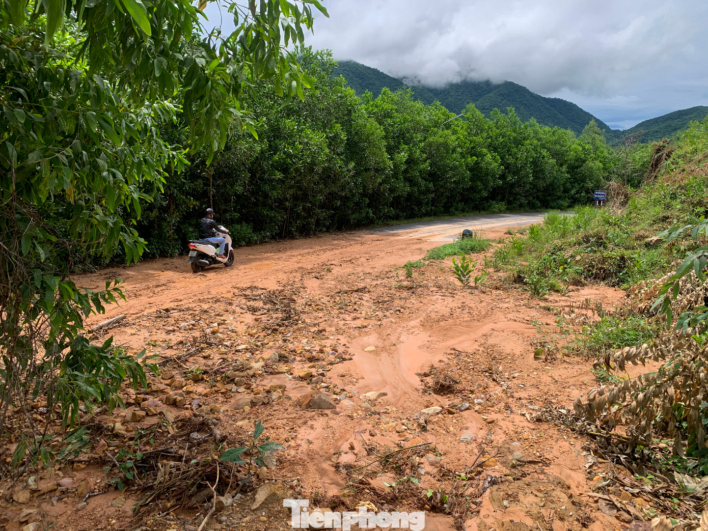 Tuyến đường giao thông huyết mạch nối từ quốc lộ 1A (đoạn qua quận Liên Chiểu) lên xã Hòa Liên và xã Hòa Bắc đất đá từ các đồi núi đã tràn xuống mặt đường, tạo thành lớp bùn dày gây ảnh hưởng lớn đến việc đi lại của người dân. Tuyến đường giao thông huyết mạch nối từ quốc lộ 1A (đoạn qua quận Liên Chiểu) lên xã Hòa Liên và xã Hòa Bắc đất đá từ các đồi núi đã tràn xuống mặt đường, tạo thành lớp bùn dày gây ảnh hưởng lớn đến việc đi lại của người dân.
