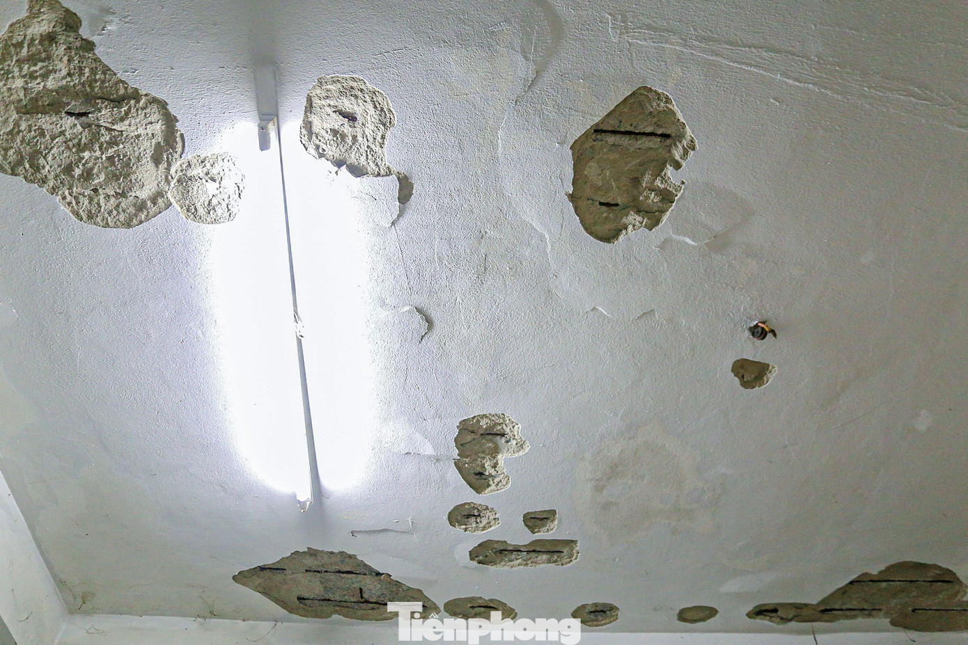 Theo ghi nhận của Tiền Phong, sau nhiều năm sử dụng, hiện các phòng thuộc chung cư này đang xuống cấp nghiêm trọng, nhiều mảng tường bong tróc, thấm dột.