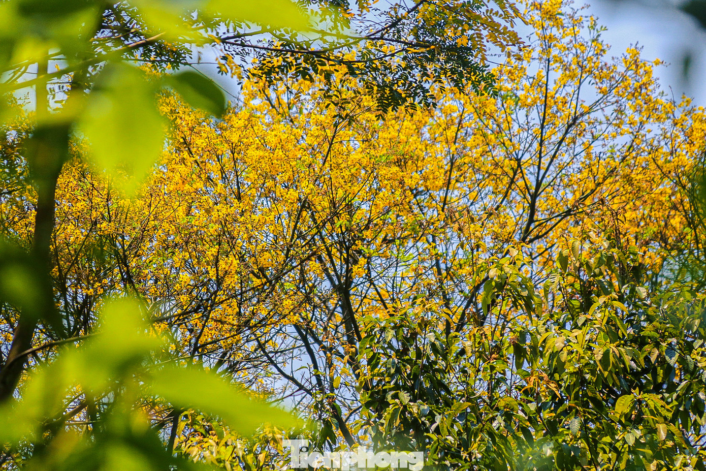 Theo những nhiếp ảnh gia, ngoài việc săn những bức hình đẹp về các loài động thực vật như Voọc, chim, hoa cỏ… việc đến đây giúp họ thư giãn, hít thở không khí trong lành trên cao sau những giờ làm việc mệt mỏi.