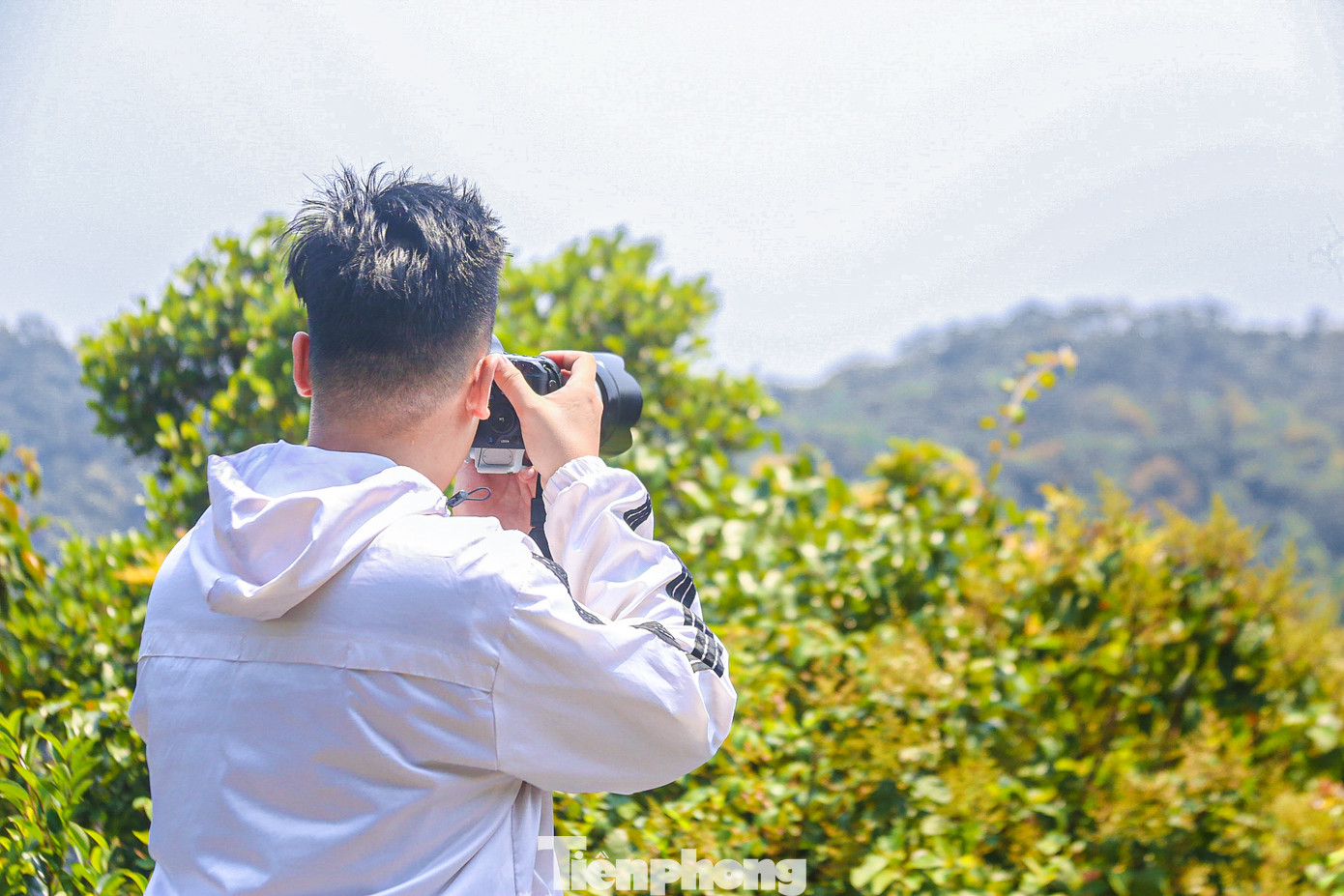 Bạn Hồ Phan Bảo Lâm sống ở Đà Nẵng cho biết, năm nào tới tháng 4 cũng đến đây để ngắm hoa và săn những bức hình đẹp. “Những dịp như thế này mình có thể ngắm được loài Voọc Chà vá chân nâu quý hiếm và nhiều loài hoa khoe sắc. Vào mùa hoa lim xẹt nở rộ cũng là lúc loài linh trưởng này ra để tìm thức ăn nên mình có thể ngắm nhìn chúng rất gần, còn không thì rất khó bắt gặp chúng”, bạn Lâm nói.