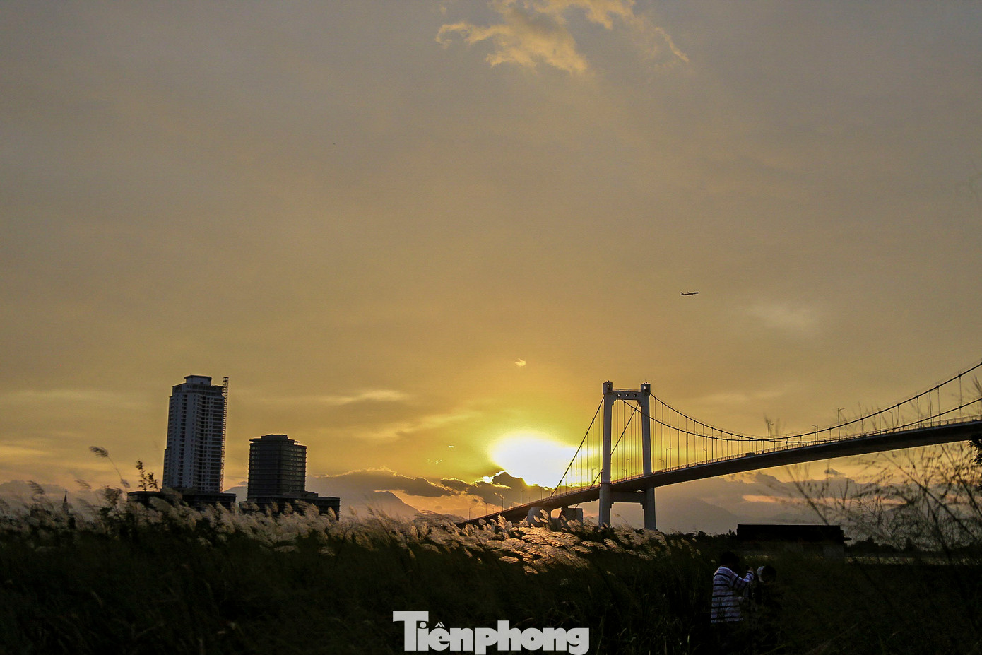 Khi chiều buông xuống, ánh nắng hoàng hôn càng khiến cánh đồng cỏ lau trở nên huyền ảo và thơ mộng hơn. Khi chiều buông xuống, ánh nắng hoàng hôn càng khiến cánh đồng cỏ lau trở nên huyền ảo và thơ mộng hơn.