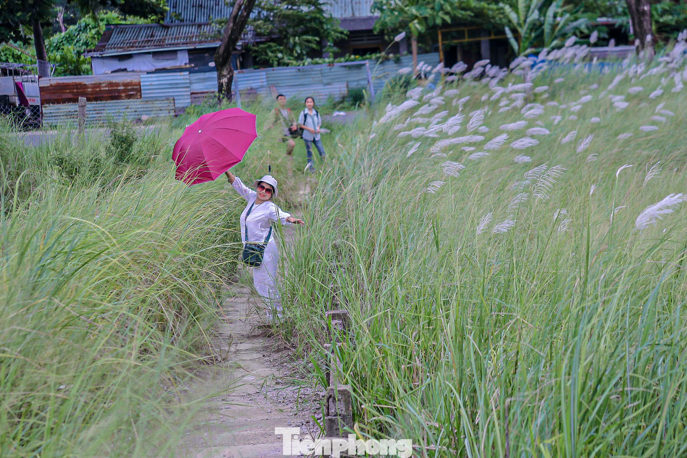 "Cánh đồng cỏ lau không chỉ là nơi ngắm cảnh, mà còn là nguồn cảm hứng bất tận cho những người đam mê nghệ thuật, nhiếp ảnh và những tâm hồn yêu thiên nhiên. Giữa không gian rộng lớn và yên bình như thế này, tôi thấy mọi cảm xúc của mình dường như trở nên tinh khôi và trọn vẹn hơn", bà Nguyễn Thị Lan chia sẻ. "Cánh đồng cỏ lau không chỉ là nơi ngắm cảnh, mà còn là nguồn cảm hứng bất tận cho những người đam mê nghệ thuật, nhiếp ảnh và những tâm hồn yêu thiên nhiên. Giữa không gian rộng lớn và yên bình như thế này, tôi thấy mọi cảm xúc của mình dường như trở nên tinh khôi và trọn vẹn hơn", bà Nguyễn Thị Lan chia sẻ.