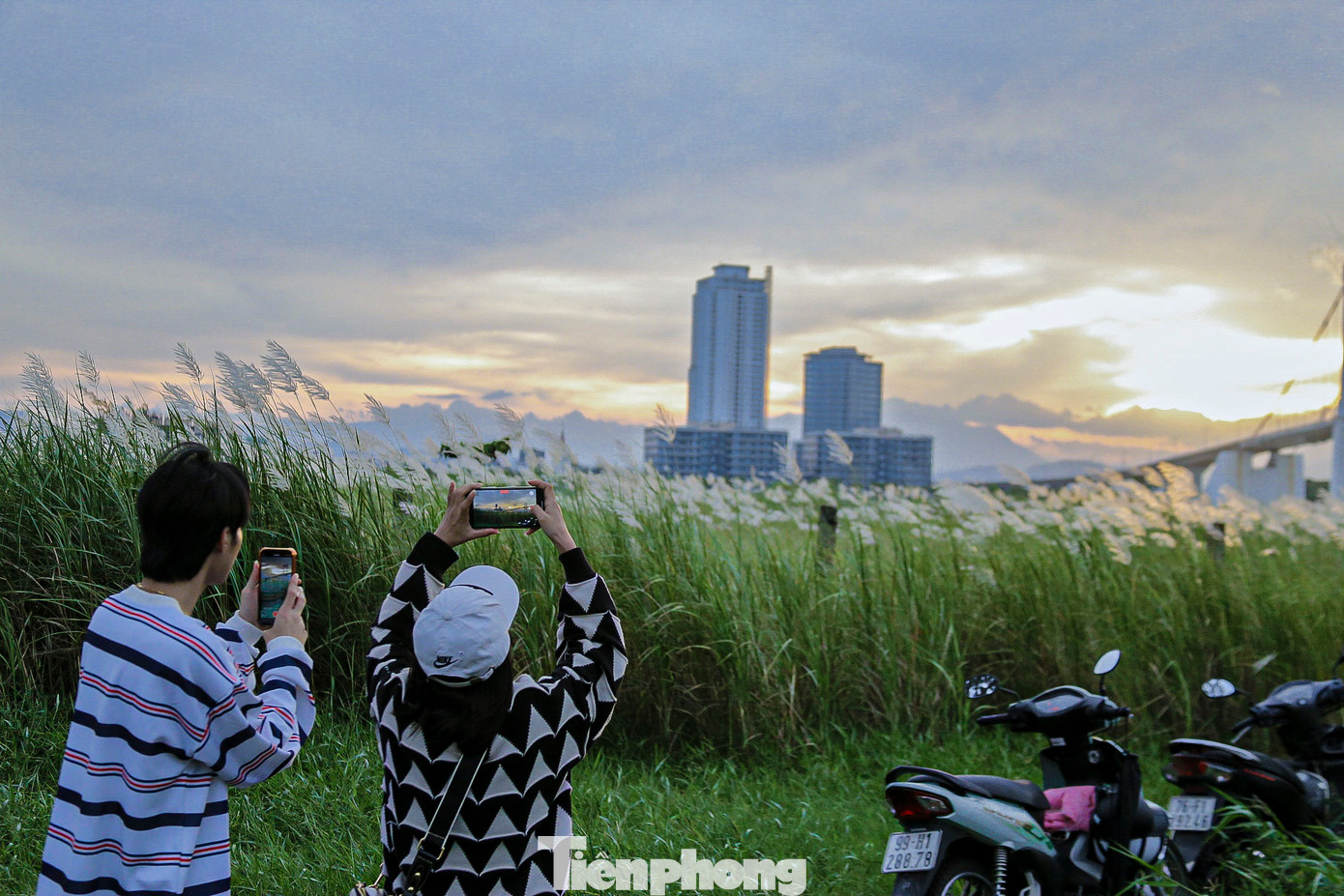 Nhiều người thích thú ghi lại những khoảnh khắc tuyệt đẹp dưới chân cầu Thuận Phước, nơi từng ngọn cỏ lau bay phấp phới trong gió. Nhiều người thích thú ghi lại những khoảnh khắc tuyệt đẹp dưới chân cầu Thuận Phước, nơi từng ngọn cỏ lau bay phấp phới trong gió.