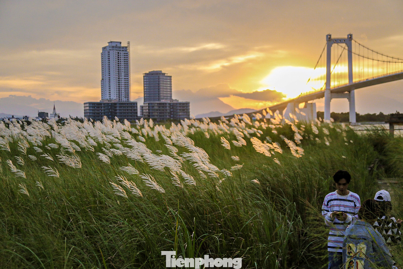 Từ xa nhìn lại, cánh đồng lau tựa như tấm thảm trắng trải dài, lấp lánh dưới ánh nắng vàng. Những tia nắng len lỏi qua từng khóm lau khiến khung cảnh trở nên quyến rũ, xao xuyến. Từ xa nhìn lại, cánh đồng lau tựa như tấm thảm trắng trải dài, lấp lánh dưới ánh nắng vàng. Những tia nắng len lỏi qua từng khóm lau khiến khung cảnh trở nên quyến rũ, xao xuyến.