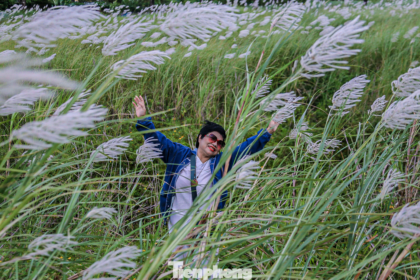 “Khung cảnh này khiến con người dễ quên đi những ồn ào, hối hả của cuộc sống, chỉ còn lại sự tĩnh lặng và yên bình. Giữa cánh đồng cỏ lau, tôi như được trở về với thiên nhiên, với những ký ức tuổi thơ trong trẻo”, bà Định Thị Hải Đăng (quận Hải Châu) chia sẻ. “Khung cảnh này khiến con người dễ quên đi những ồn ào, hối hả của cuộc sống, chỉ còn lại sự tĩnh lặng và yên bình. Giữa cánh đồng cỏ lau, tôi như được trở về với thiên nhiên, với những ký ức tuổi thơ trong trẻo”, bà Định Thị Hải Đăng (quận Hải Châu) chia sẻ.