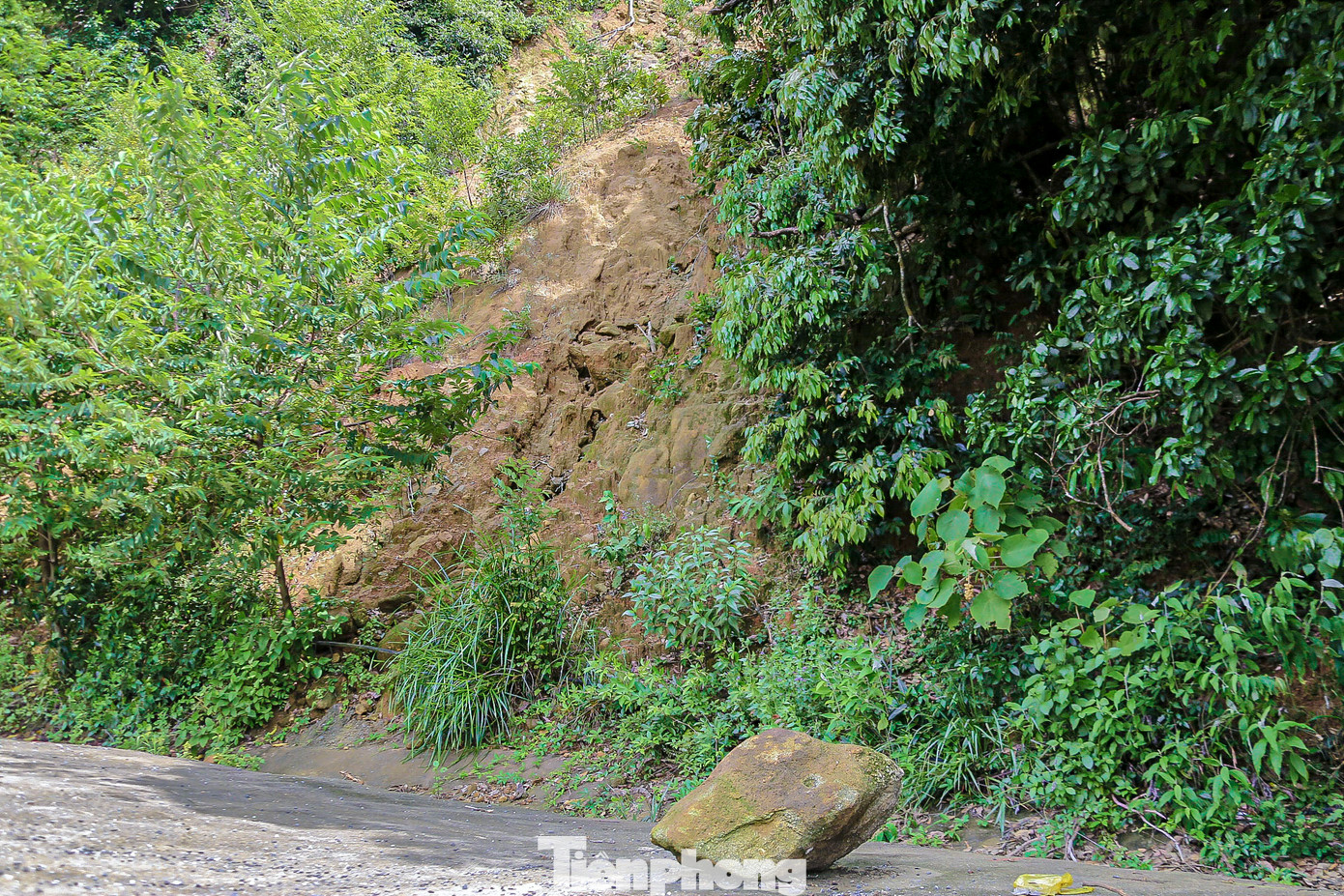 Trước tình hình diễn biến phức tạp của bão số 6 (bão Trà Mi), nhiều điểm nguy cơ sạt lở trên núi Sơn Trà đang tiềm ẩn nguy hiểm.