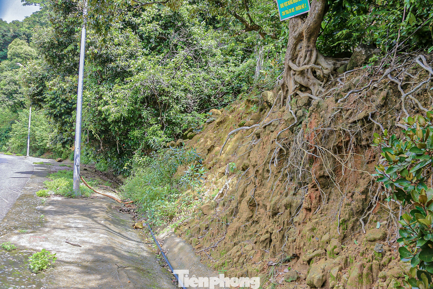 Trước tình hình diễn biến phức tạp của bão số 6 (bão Trà Mi), nhiều điểm nguy cơ sạt lở trên núi Sơn Trà đang tiềm ẩn nguy hiểm.