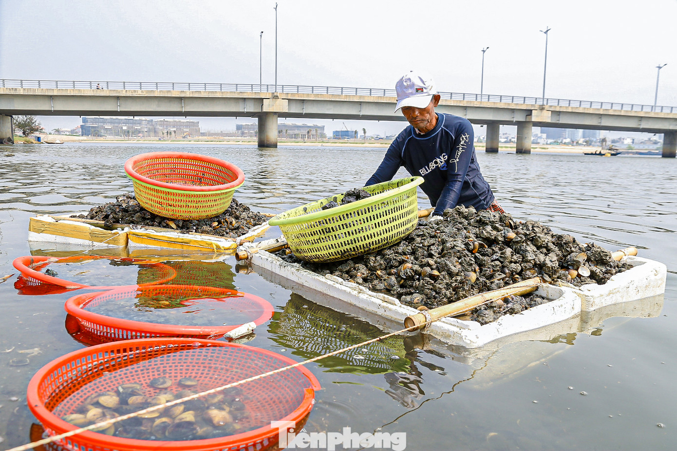 Sau khi sìa đầy thùng sẽ được đưa vào bờ để làm sạch...