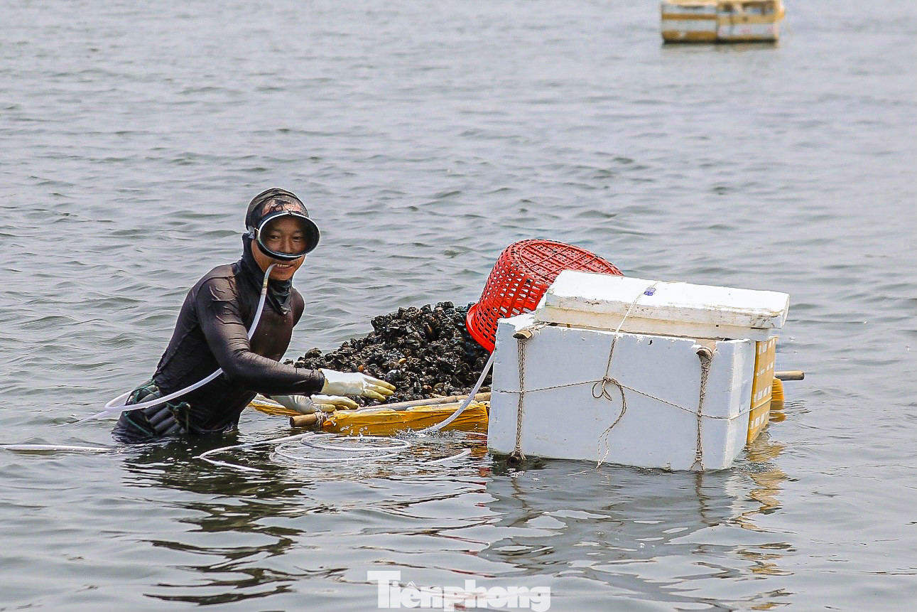 Sau khi sìa đầy thùng sẽ được đưa vào bờ để làm sạch...