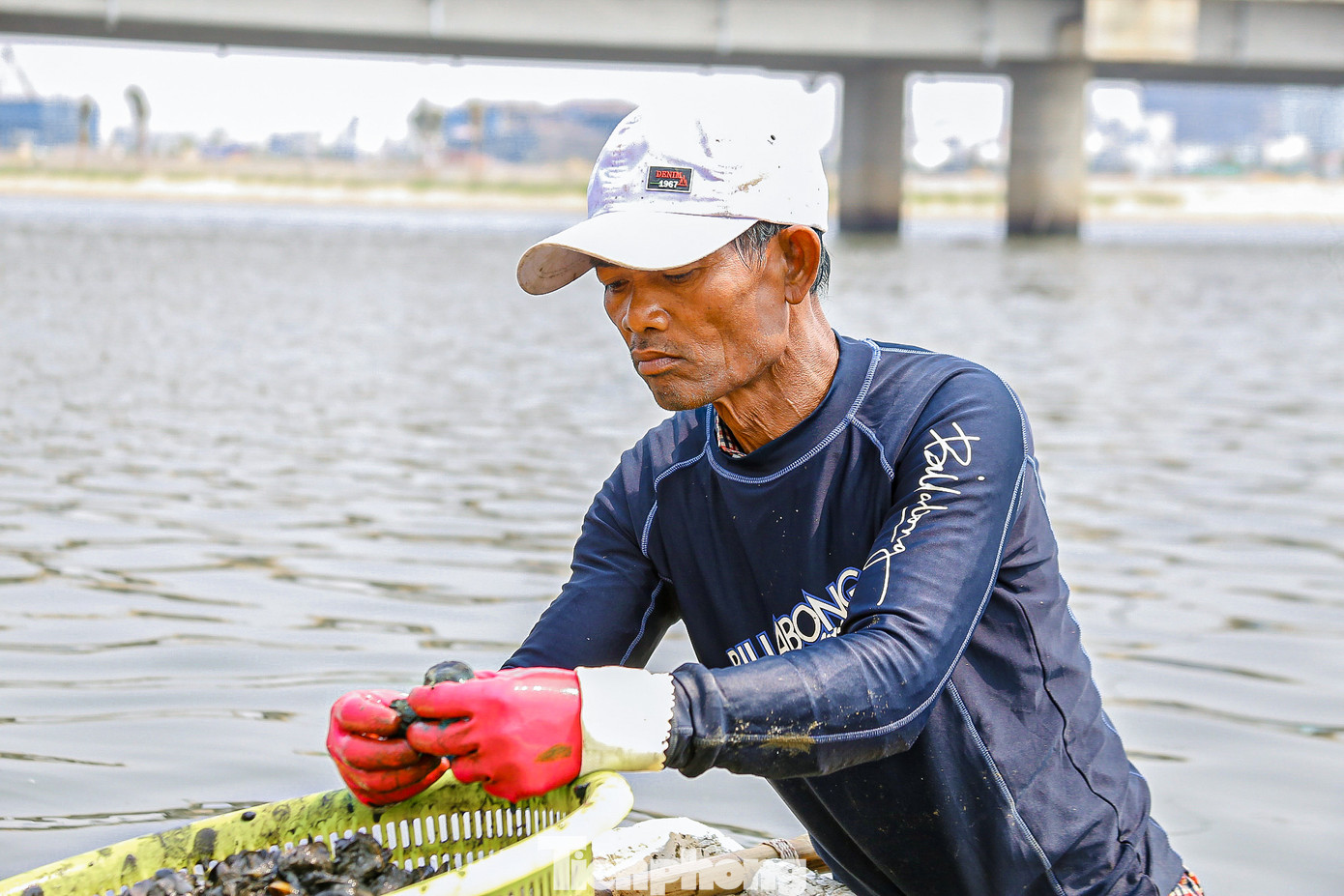 Ông Nguyễn Văn Cường (trú quận Sơn Trà) cho biết, hiện đang vào mùa sìa nên mọi người đổ về đây từ rất sớm để mò bán kiếm tiền trang trải cuộc sống. “Tôi đi từ 5 giờ sáng đến giờ mò được khoảng hơn 50kg rồi, ngày nào trúng thì có thể kiếm được cả 100kg, thu về gần cả triệu đồng. Tuy phải ngâm mình nhiều giờ dưới nước nhưng đổi lại mò được nhiều sìa nên ai cũng vui mừng quên cả mệt”, ông Cường chia sẻ.