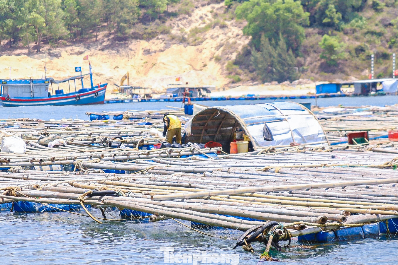 Dọc đầm dưới chân Đề Gi hàng loạt bè được người dân dùng để nuôi hàu.