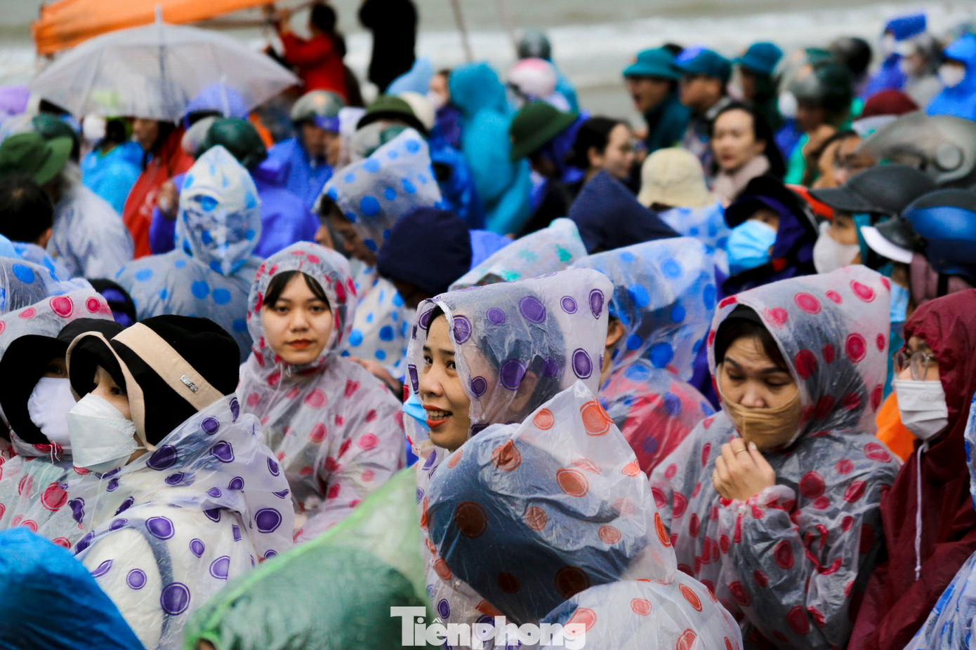 Hàng trăm người đội mưa tham gia lễ trồng cây.