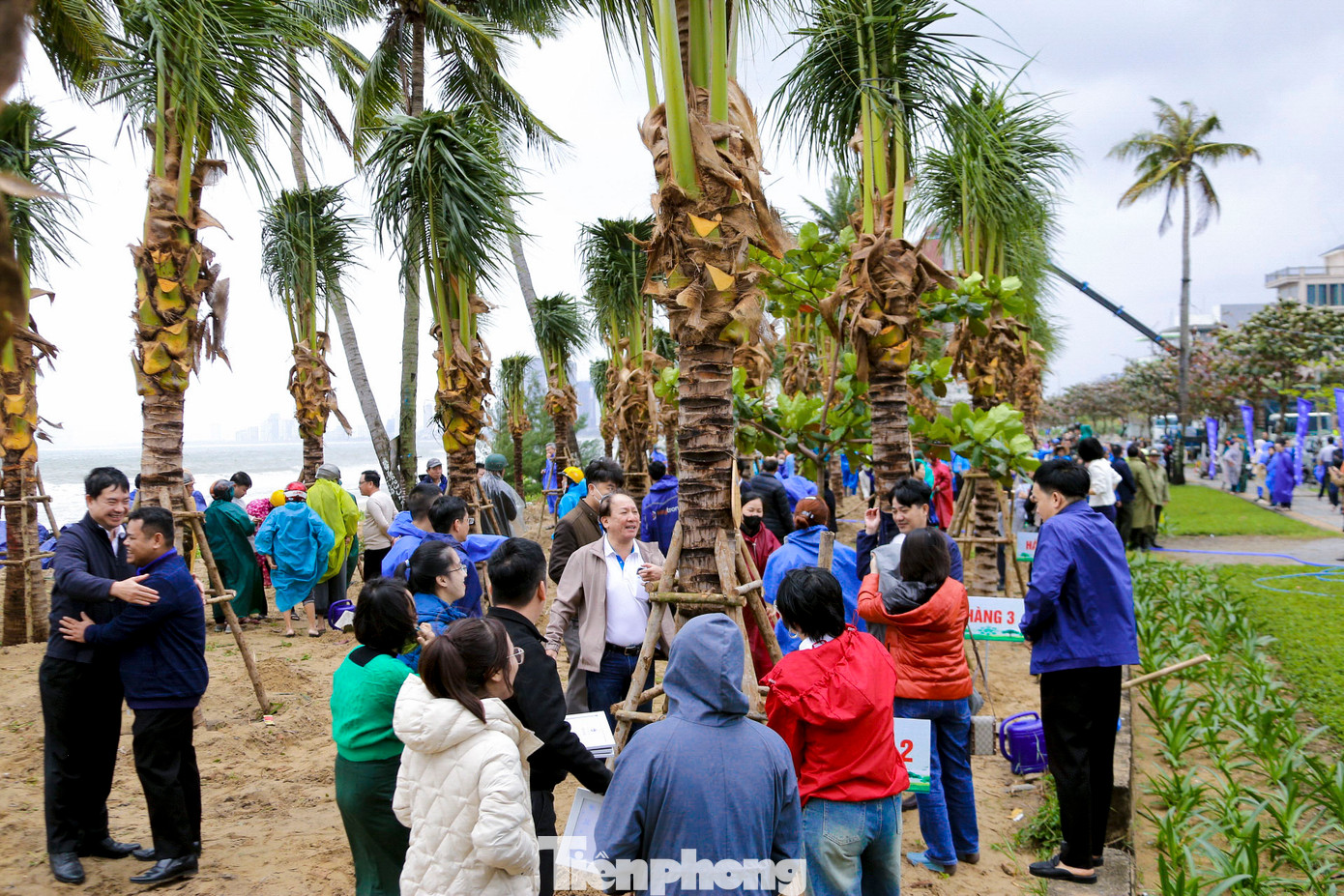 Hơn 500 cán bộ, công nhân viên chức, người lao động thuộc các đơn vị trên địa bàn thành phố Đà Nẵng hào hứng tham gia trồng cây trong sáng 8/2.