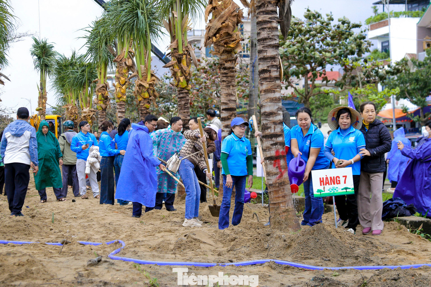 Hơn 500 cán bộ, công nhân viên chức, người lao động thuộc các đơn vị trên địa bàn thành phố Đà Nẵng hào hứng tham gia trồng cây trong sáng 8/2.