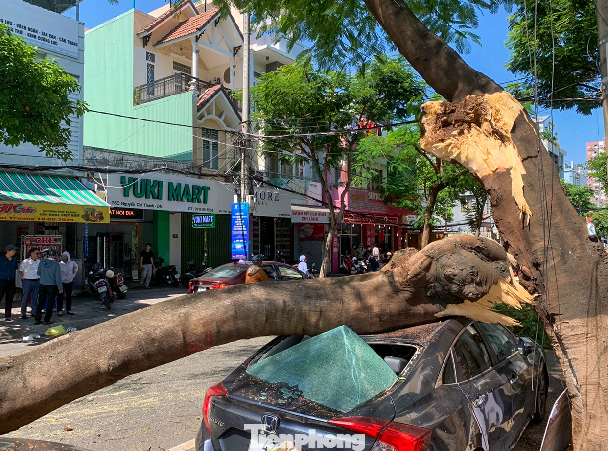 Nhánh cây xanh bất ngờ ngã đổ trên đường Nguyễn Chí Thanh, đè trúng ô tô gây hư hỏng. Nhánh cây xanh bất ngờ ngã đổ trên đường Nguyễn Chí Thanh, đè trúng ô tô gây hư hỏng.