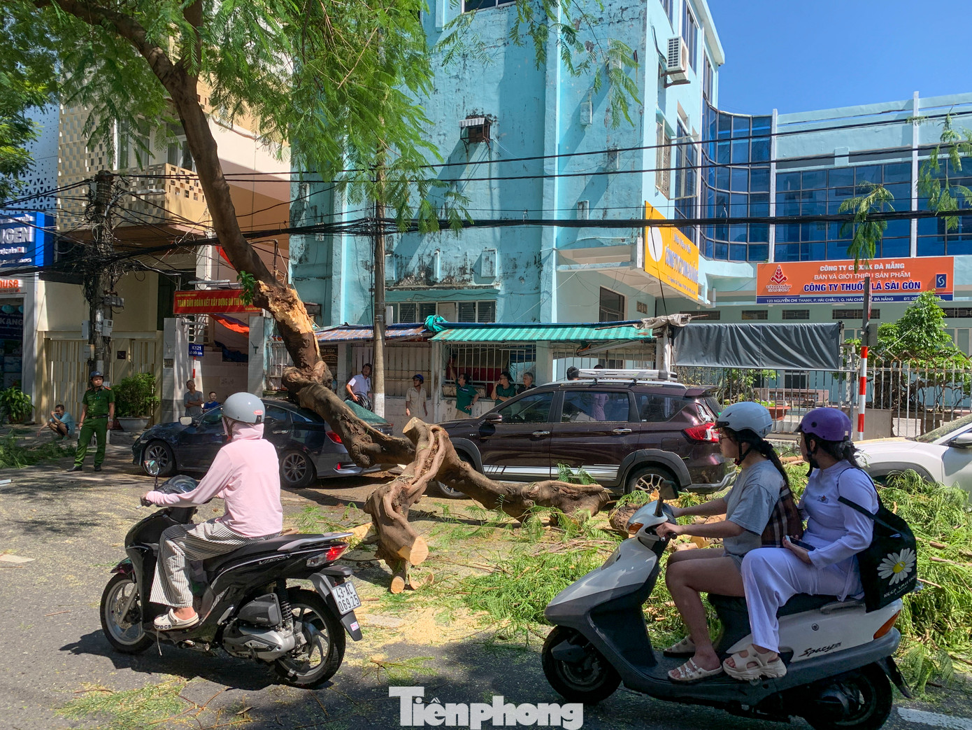 Nhánh cây xanh bất ngờ ngã đổ trên đường Nguyễn Chí Thanh, đè trúng ô tô gây hư hỏng. Nhánh cây xanh bất ngờ ngã đổ trên đường Nguyễn Chí Thanh, đè trúng ô tô gây hư hỏng.