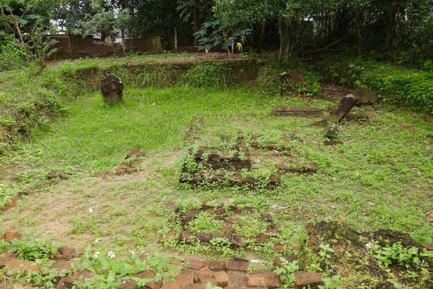 Tuy nhiên, sau nhiều năm lên phương án để tu bổ, bảo tồn các hạng mục, di tích Chăm Phong Lệ đến nay dự án vẫn chưa triển khai thực hiện khiến nơi đây cỏ dại mọc phủ kín.