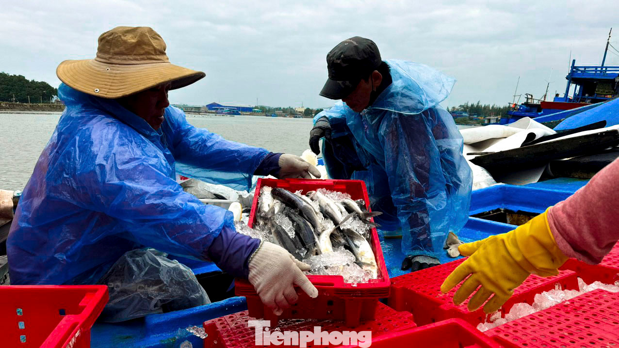“Kết thúc phiên biển cuối năm, tàu của tôi khai thác được khoảng 5 tấn cá các loại. Sau khi xuất bán, tôi đã chia cho mỗi anh em bạn tàu 10 triệu đồng cùng một ít tiền “thưởng” để về nhà vui Xuân, đón Tết với gia đình”, ngư dân Leo nói.