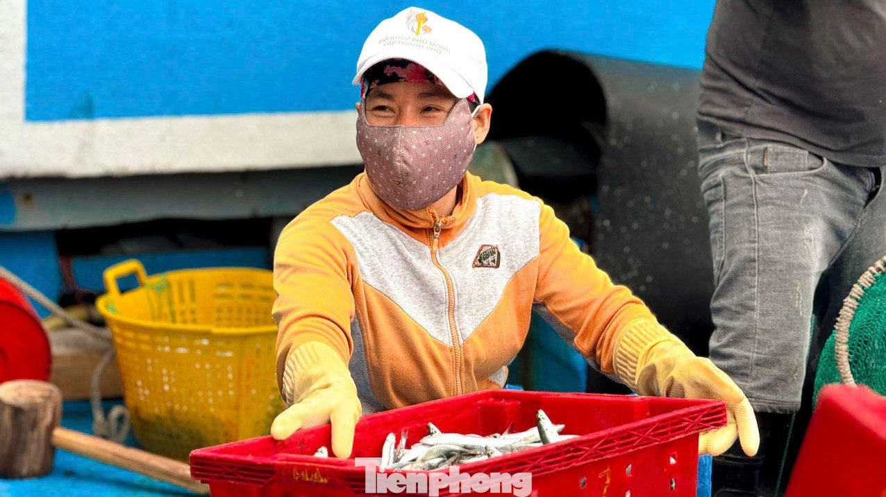 Bên cạnh niềm vui của các chủ tàu, người dân ở các làng chài ven biển Quảng Ngãi cũng phấn khởi không kém. Bởi nhờ việc vận chuyển, phân loại cá, mỗi người sẽ có mức thu nhập từ 400.000 – 500.000 đồng/ngày.