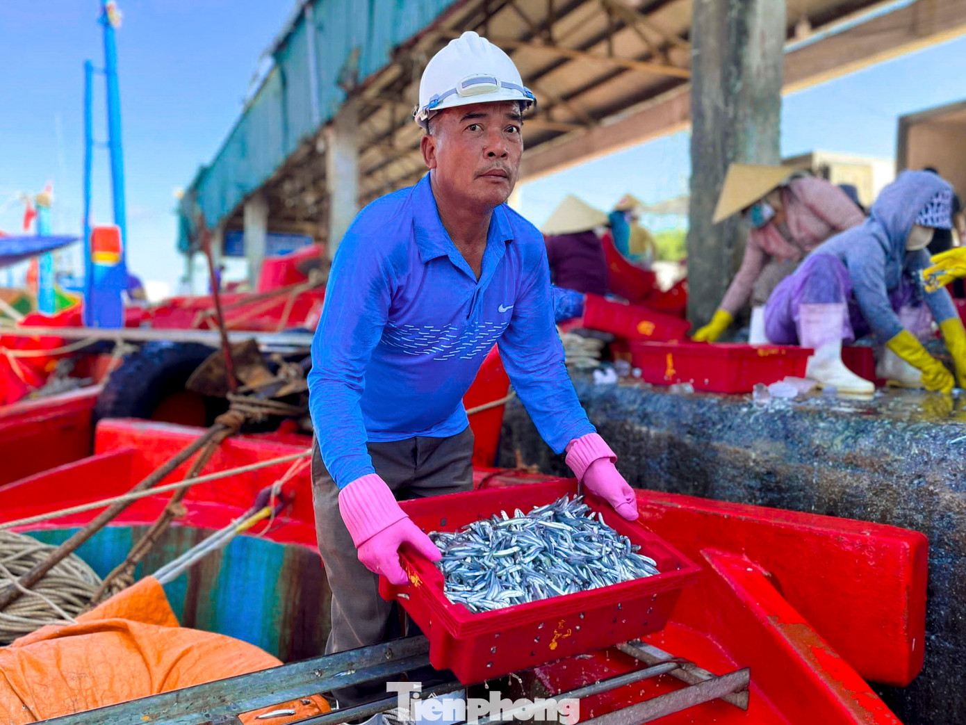 Sau gần một tháng lênh đênh trên ngư trường Trường Sa, tàu cá QNg 90252 TS của ngư dân Võ Dũng (trú xã Bình Châu, huyện Bình Sơn) cập cảng Sa Kỳ trong niềm phấn khởi của các thuyền viên và người nhà.