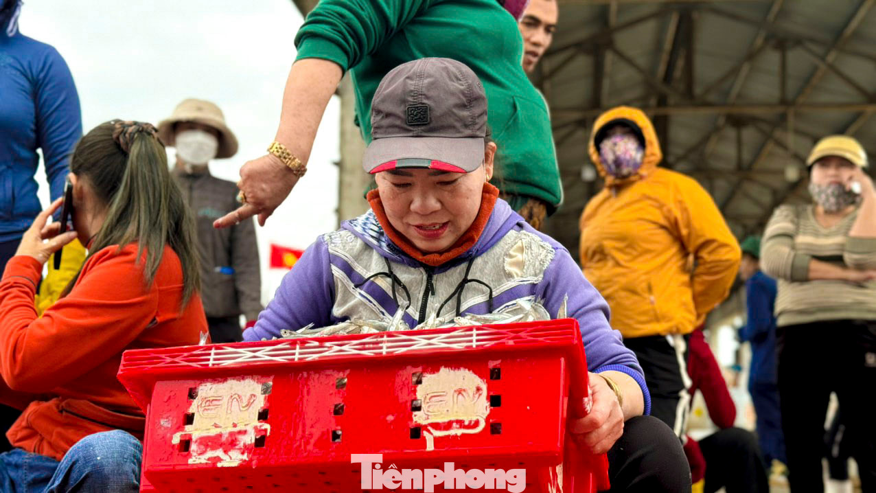 Bên cạnh niềm vui của các chủ tàu, người dân ở các làng chài ven biển Quảng Ngãi cũng phấn khởi không kém. Bởi nhờ việc vận chuyển, phân loại cá, mỗi người sẽ có mức thu nhập từ 400.000 – 500.000 đồng/ngày.