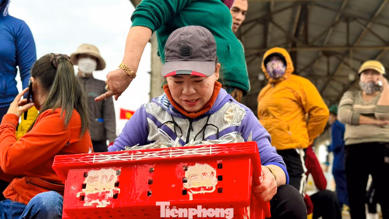 Bên cạnh niềm vui của các chủ tàu, người dân ở các làng chài ven biển Quảng Ngãi cũng phấn khởi không kém. Bởi nhờ việc vận chuyển, phân loại cá, mỗi người sẽ có mức thu nhập từ 400.000 – 500.000 đồng/ngày. Bên cạnh niềm vui của các chủ tàu, người dân ở các làng chài ven biển Quảng Ngãi cũng phấn khởi không kém. Bởi nhờ việc vận chuyển, phân loại cá, mỗi người sẽ có mức thu nhập từ 400.000 – 500.000 đồng/ngày.