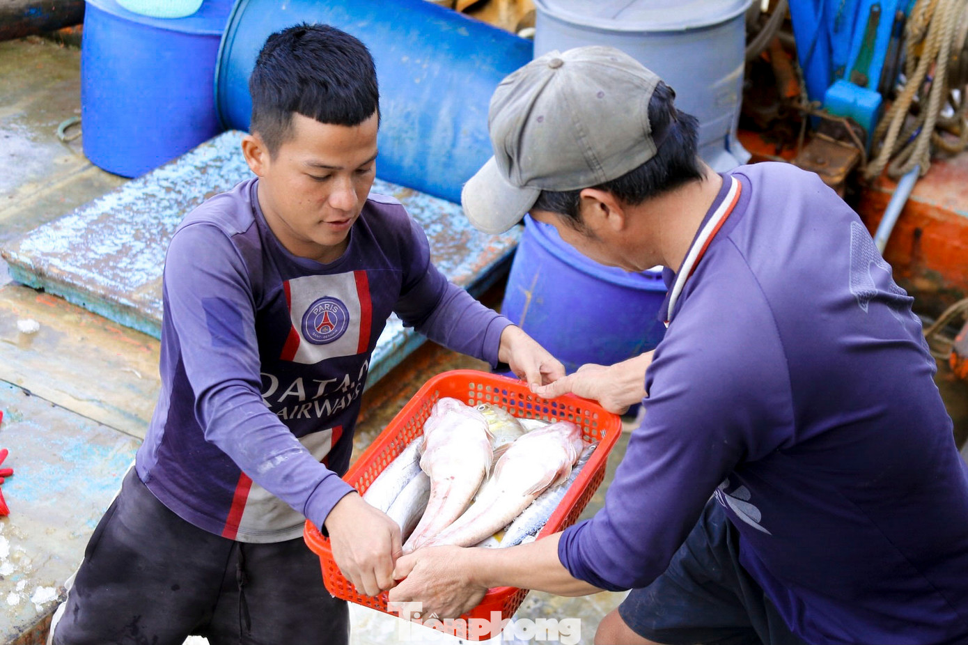 Niềm vui của ngư dân khi đánh bắt được nhiều mẻ cá lớn những ngày cận Tết.