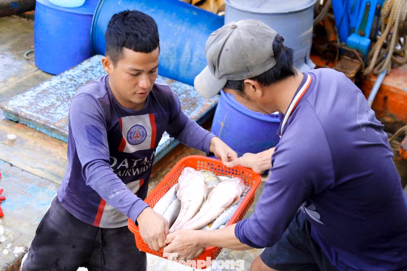Niềm vui của ngư dân khi đánh bắt được nhiều mẻ cá lớn những ngày cận Tết. Niềm vui của ngư dân khi đánh bắt được nhiều mẻ cá lớn những ngày cận Tết.