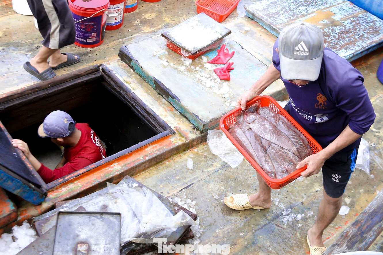 Theo nhiều ngư dân, dù phải ra khơi trong những ngày giáp Tết, nhưng ai nấy đều rất vui và phấn khởi vì số tiền kiếm được giúp họ trang trải cuộc sống và có cái Tết đủ đầy hơn.