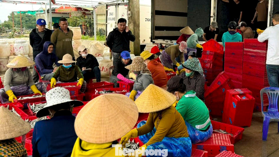 Ông Nguyễn Thanh Hùng - Chủ tịch Nghiệp đoàn nghề cá xã Bình Châu cho biết, phiên biển cuối năm, ngư dân địa phương đánh bắt hiệu quả hơn so với các phiên trước, giá hải sản cũng cao hơn, chi phí xăng dầu bình ổn giúp ngư dân có một cái Tết đầm ấm. Đây cũng chính là động lực để ngư dân địa phương tiếp tục vươn khơi bám biển sau Tết.