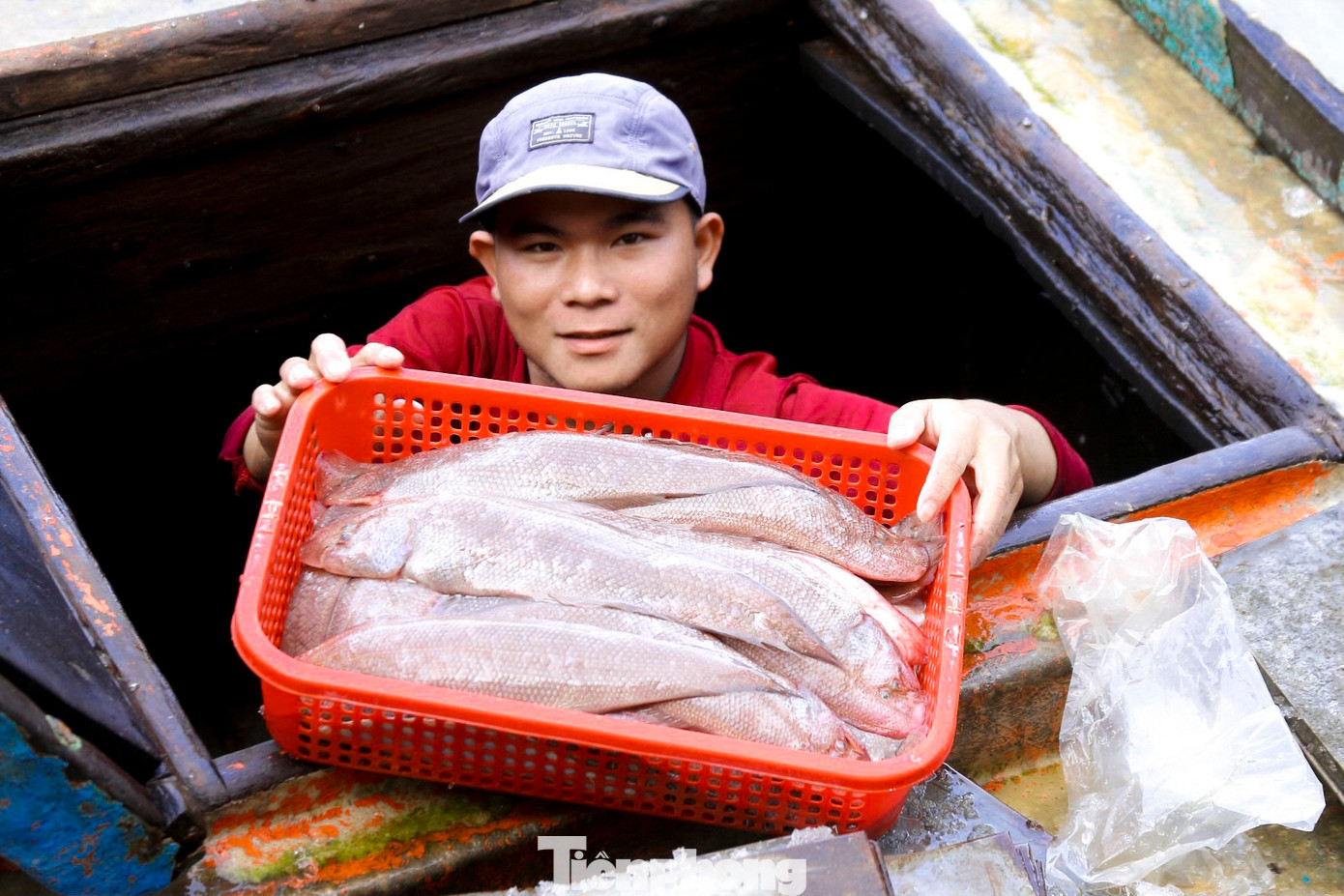 Anh Nguyễn Quang Phương, ngư dân vừa trở về sau chuyến đi chia sẻ, chuyến đi biển cuối năm luôn là chuyến cảm xúc nhất trong năm, vì thời điểm này thường trúng cá lớn. Sau chuyến đi này, trung bình mỗi người kiếm gần chục triệu sau khi trừ các chi phí. Các anh em trên tàu ai cũng vui vì có tiền để gia đình mua sắm và đón cái Tết no đủ.