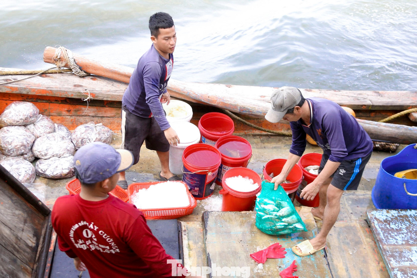 Tại cảng cá Thọ Quang (quận Sơn Trà, TP. Đà Nẵng) những ngày giáp Tết, nhiều ngư dân cũng vui mừng khi chuyến đi biển cuối cùng trong năm thu về hàng tấn cá, hải sản. Từ sáng sớm, cảng cá Thọ Quang đã nhộn nhịp, tấp nập cảnh tàu thuyền cập bến, khoang tàu đầy ắp hải sản tươi ngon được đưa vào bờ.
