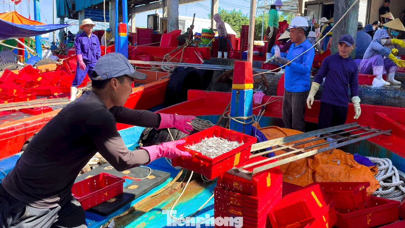 Hàng chục tàu cá nối đuôi nhau cập bến sau gần 1 tháng lênh đênh. Một số tàu trúng đậm thu về cả trăm triệu đồng.