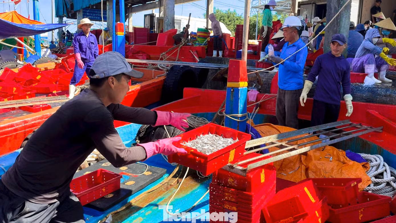 Hàng chục tàu cá nối đuôi nhau cập bến sau gần 1 tháng lênh đênh. Một số tàu trúng đậm thu về cả trăm triệu đồng. Hàng chục tàu cá nối đuôi nhau cập bến sau gần 1 tháng lênh đênh. Một số tàu trúng đậm thu về cả trăm triệu đồng.