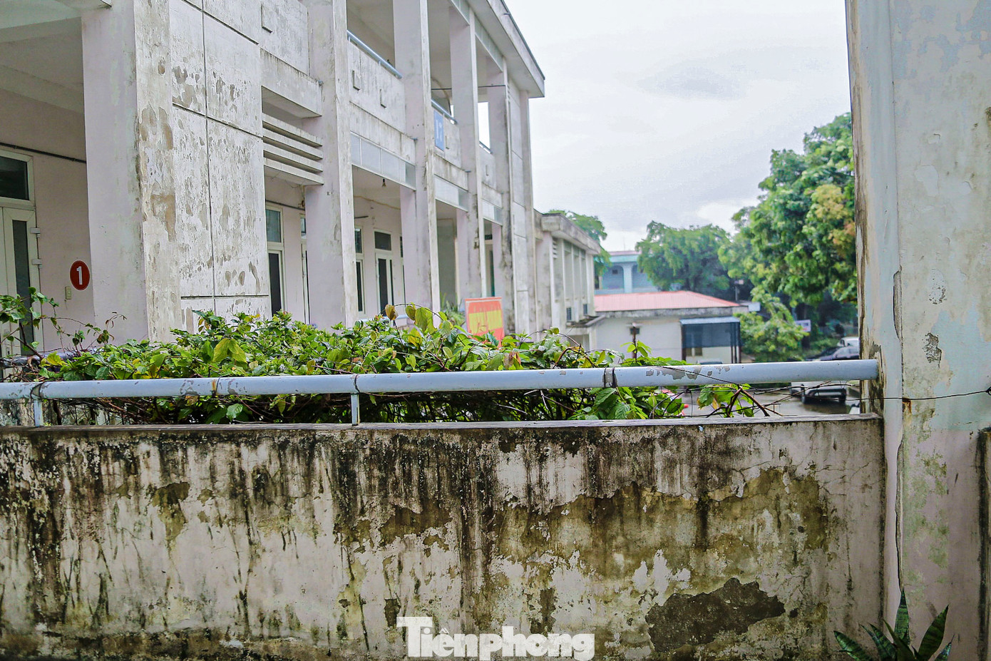 Tường bị thấm mốc, vữa tường bong tróc, trần nhà xuất hiện nhiều vết nứt. Tường bị thấm mốc, vữa tường bong tróc, trần nhà xuất hiện nhiều vết nứt.