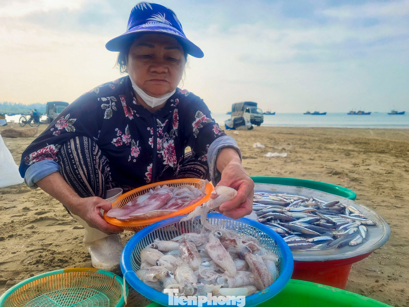 Đi dọc đường biển quận Sơn Trà rất dễ bắt gặp những mẻ mực tươi roi rói, da còn nhấp nháy, ánh hồng ánh tím. Từ sau Tết, các tàu gần bờ đánh mực rất thuận nên hôm nào cũng có mực tươi. Đi dọc đường biển quận Sơn Trà rất dễ bắt gặp những mẻ mực tươi roi rói, da còn nhấp nháy, ánh hồng ánh tím. Từ sau Tết, các tàu gần bờ đánh mực rất thuận nên hôm nào cũng có mực tươi.