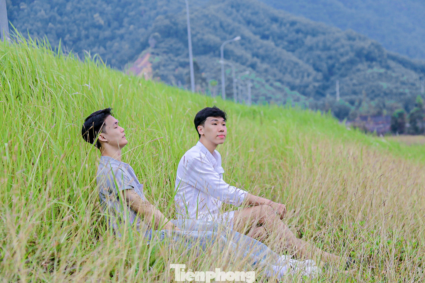 Những đồng cỏ tranh xanh mướt bạt ngàn tạo nên cảm giác bình yên, thơ mộng.